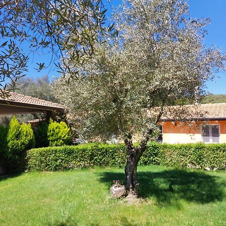 Casa Vacanza Centro Sardegna Sorgono المظهر الخارجي الصورة