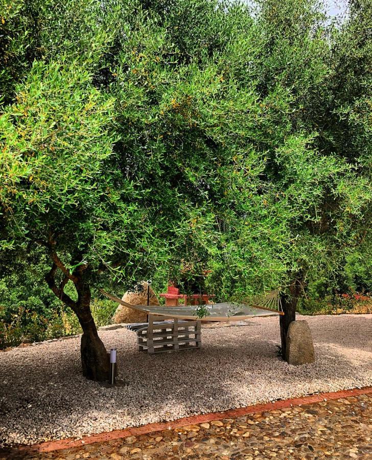Casa Vacanza Centro Sardegna Sorgono المظهر الخارجي الصورة