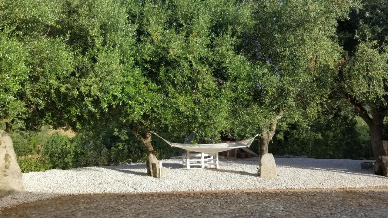 Casa Vacanza Centro Sardegna Sorgono المظهر الخارجي الصورة