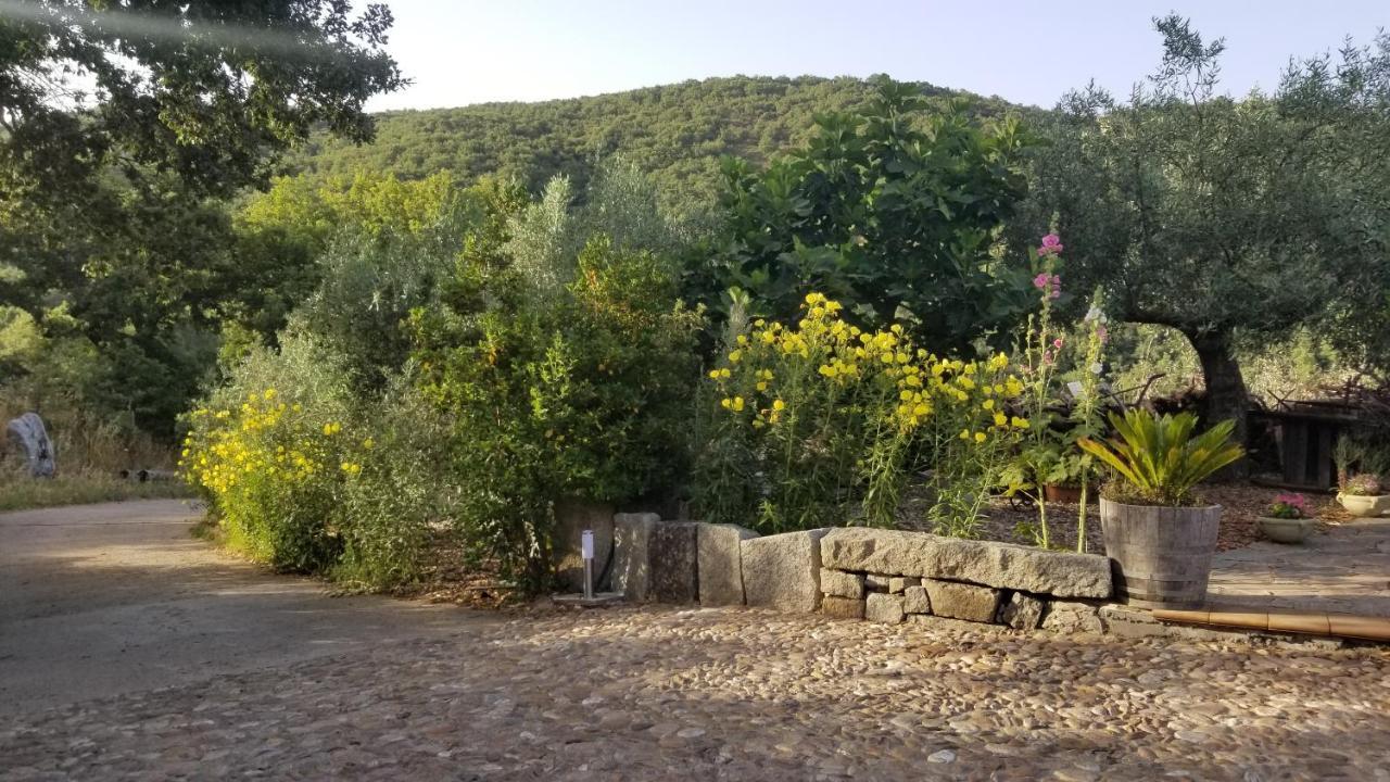 Casa Vacanza Centro Sardegna Sorgono المظهر الخارجي الصورة