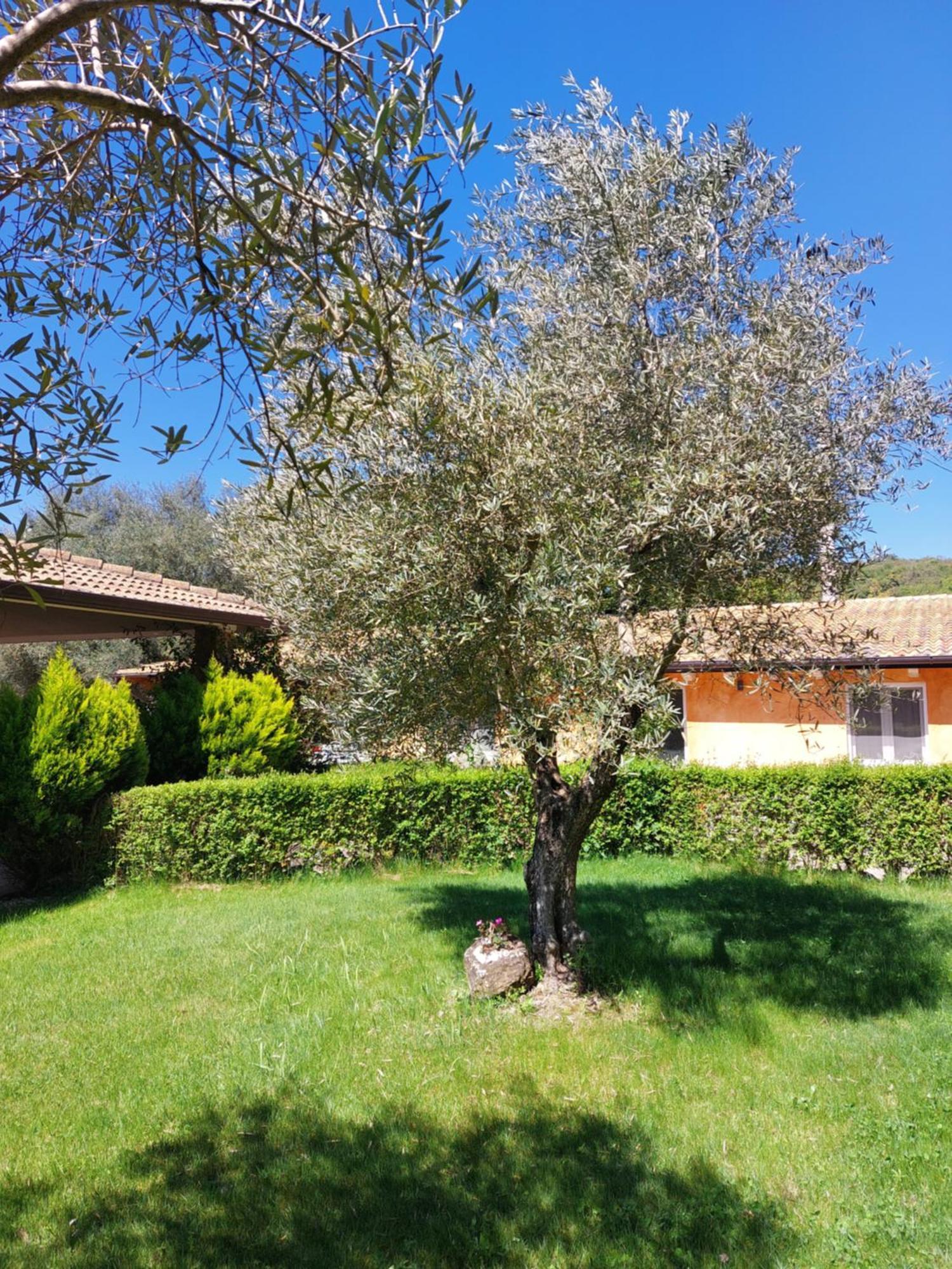 Casa Vacanza Centro Sardegna Sorgono المظهر الخارجي الصورة