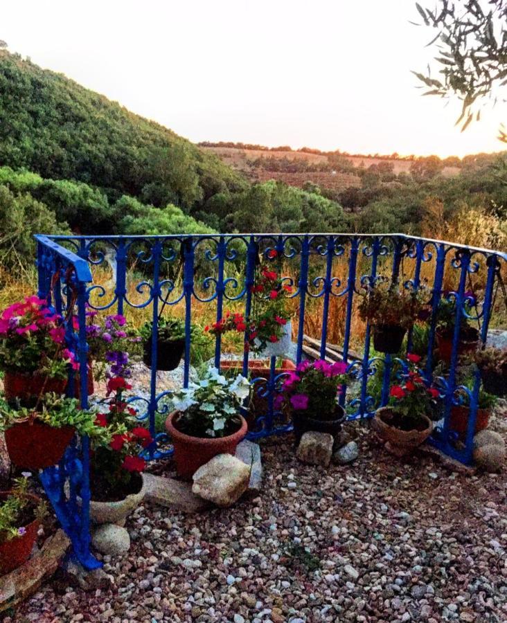 Casa Vacanza Centro Sardegna Sorgono المظهر الخارجي الصورة