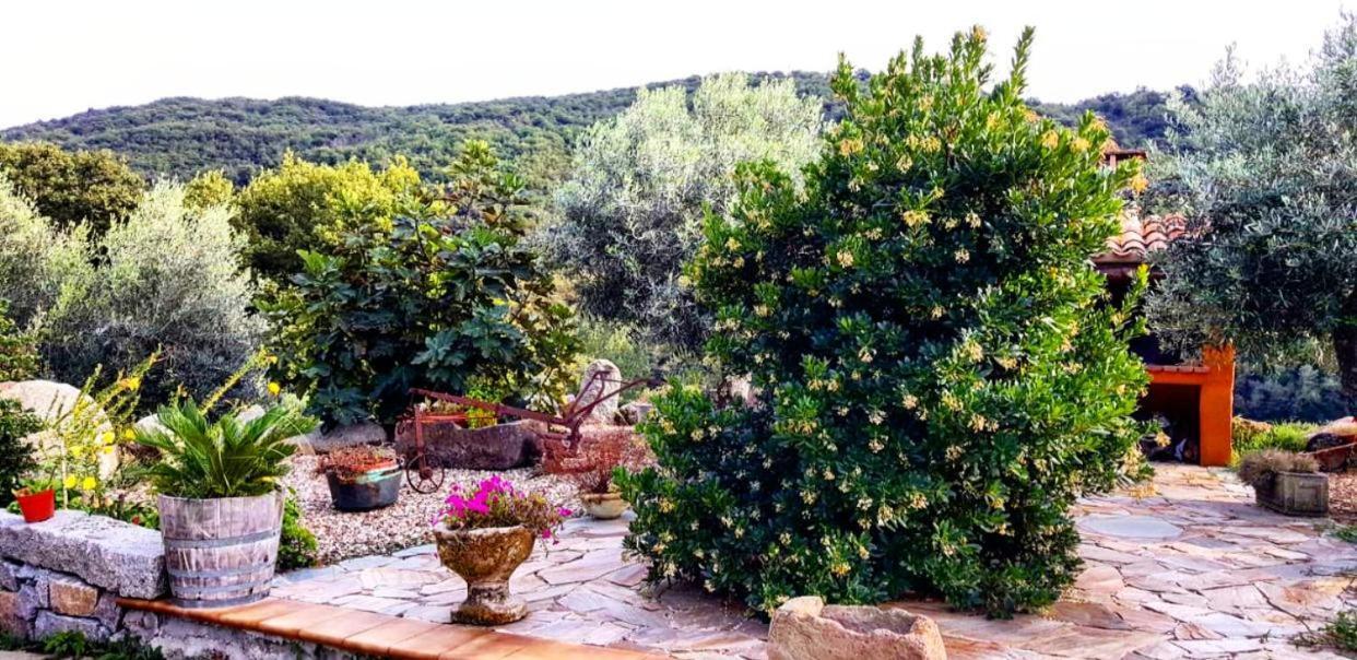 Casa Vacanza Centro Sardegna Sorgono المظهر الخارجي الصورة