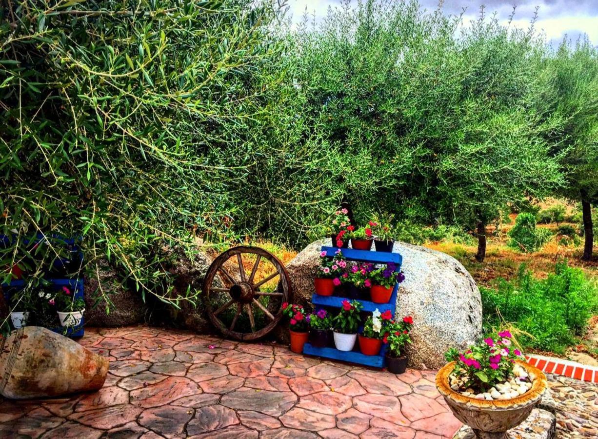 Casa Vacanza Centro Sardegna Sorgono المظهر الخارجي الصورة